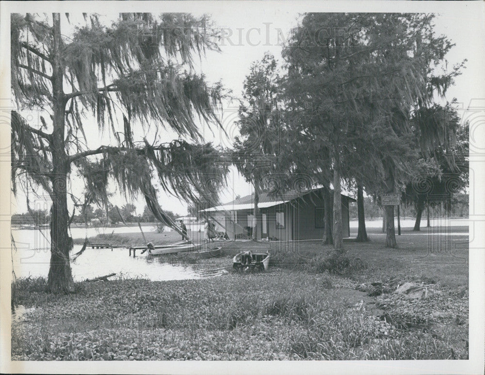 1959 Press Photo Scenic Cabin Florida Swamp Black &amp; White St. Petersburg Times - Historic Images