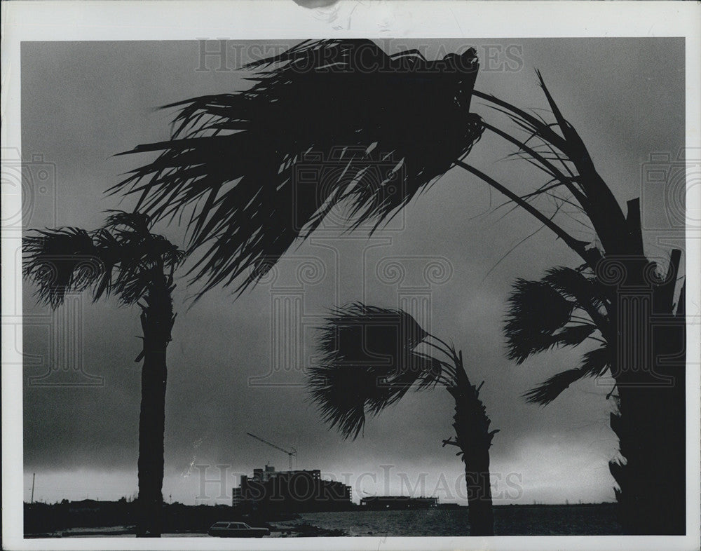 1997 Press Photo Hudson Beach Morning High Winds Bend Trees Thundershowers - Historic Images