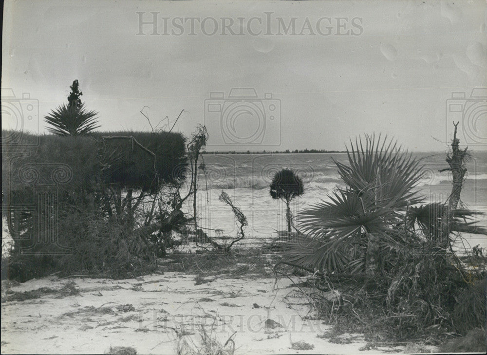 1940 Press Photo Damaged Garden Pass-A-Grille Beach St. Petersburg - Historic Images