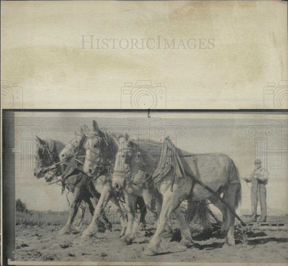 Press Photo Charles Marcinkowski plants his 180-acre farm - Historic Images