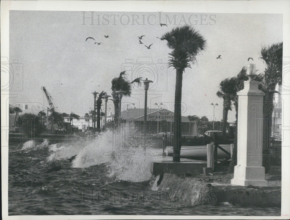 1968 Press Photo Signs of coming Hurricane in Tampa Bay, Florida - Historic Images