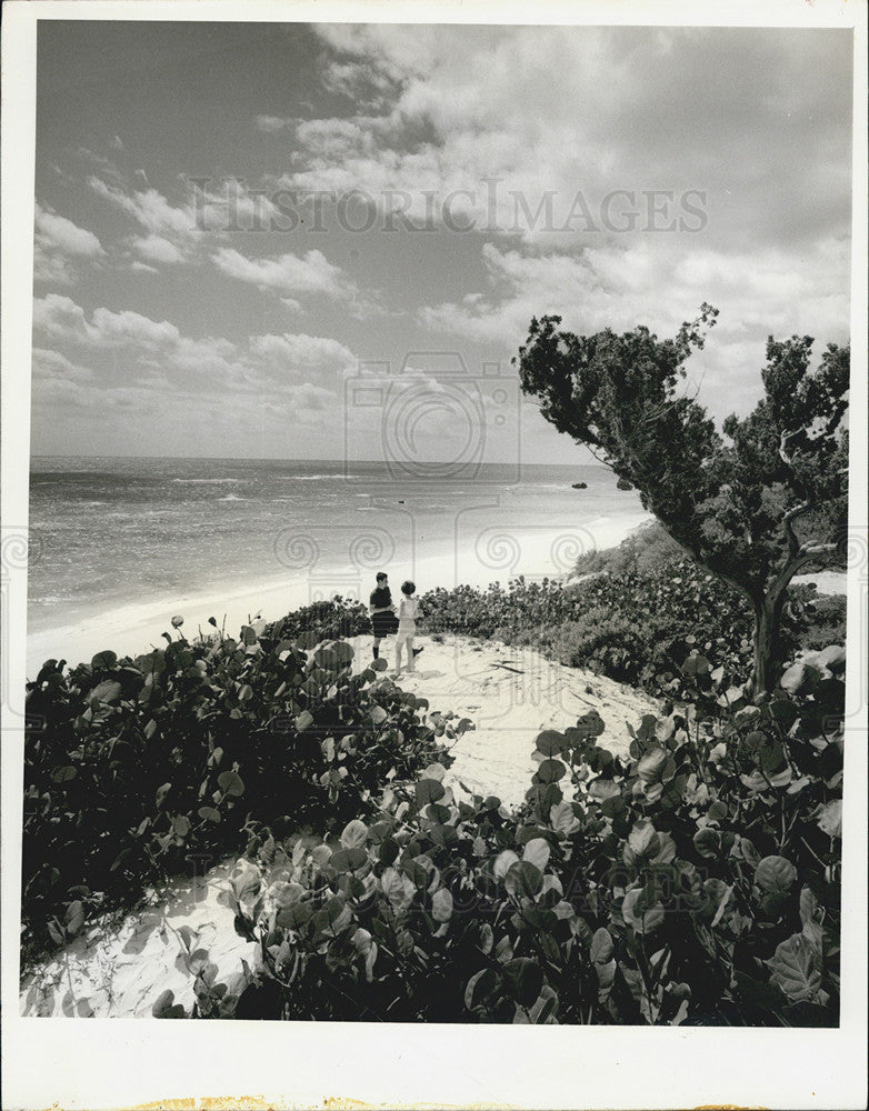 Press Photo Bermuda Beach. Beaches of mid-Atlantic Island. - Historic Images