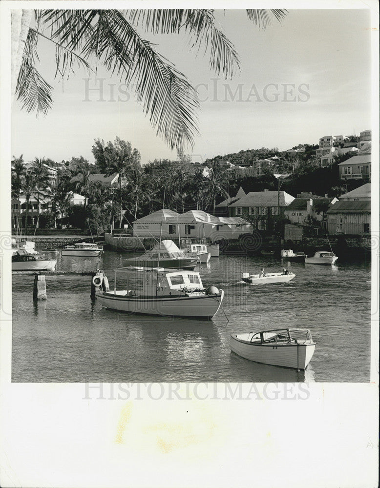 1985 Press Photo of Club Wed in British Colony of Bermuda. - Historic Images