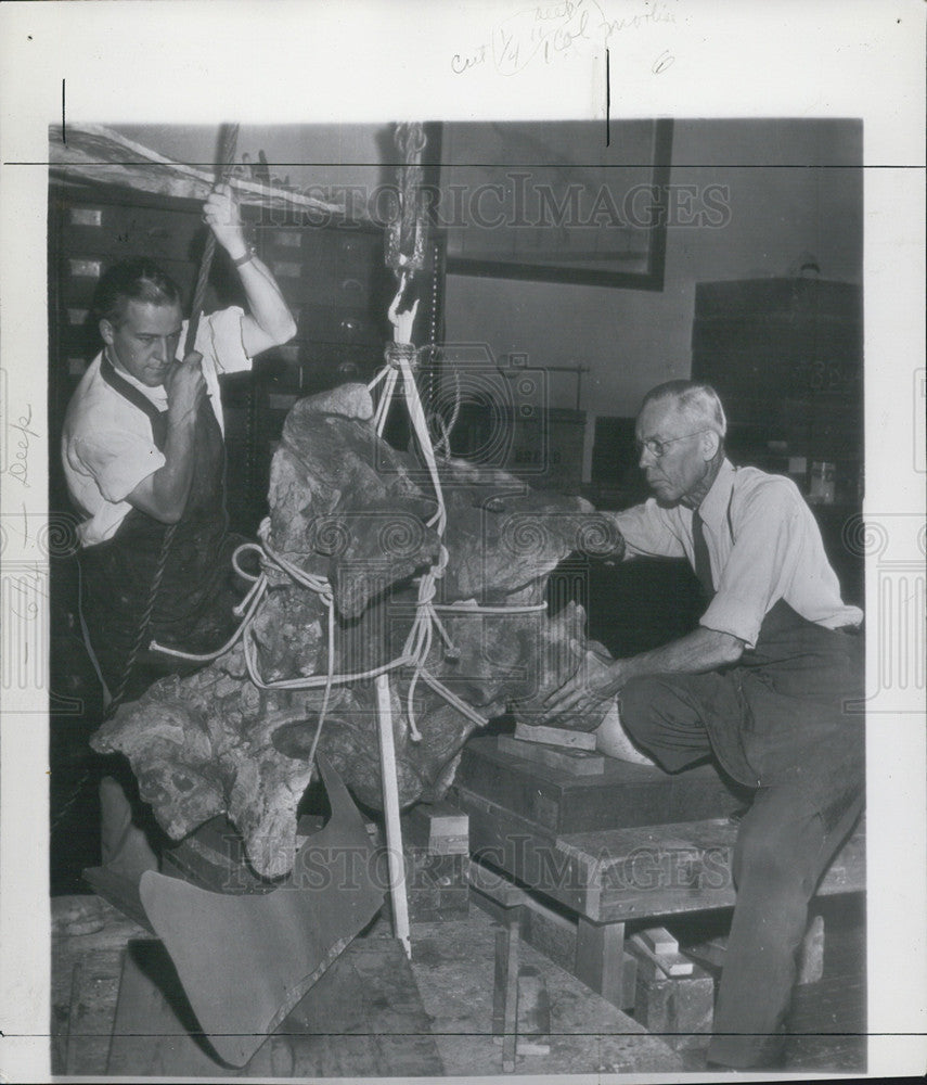 1946 Press Photo Arlton Murray of Smithsonian Finds Relic in Utah - Historic Images