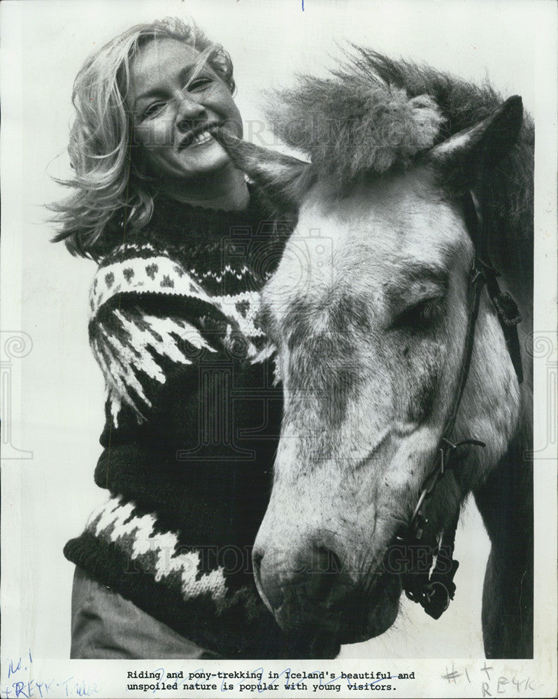 1980 Press Photo Icelandic Pony - Historic Images