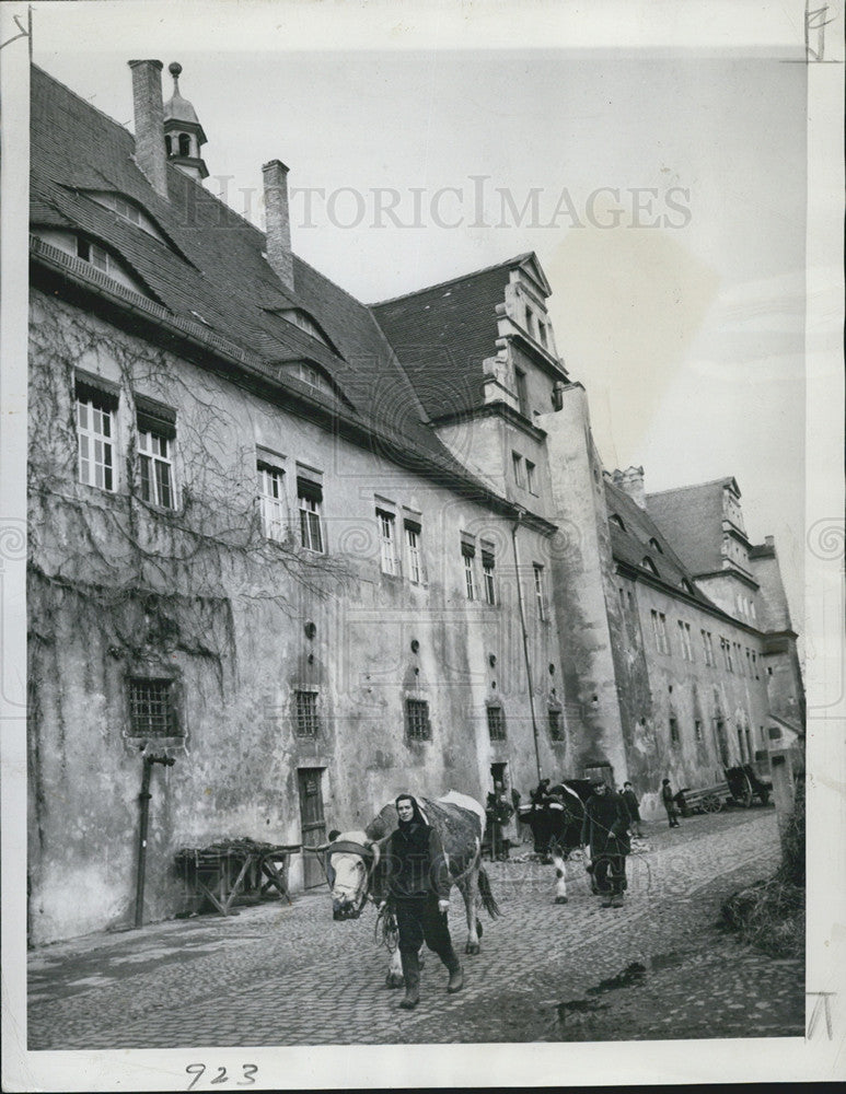 Press Photo Grossenheim, Dresden, German, Russian Zone - Historic Images