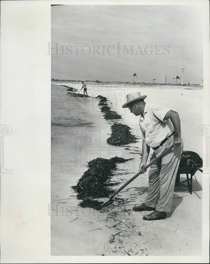 1965 Press Photo Beach Cleaning - Historic Images