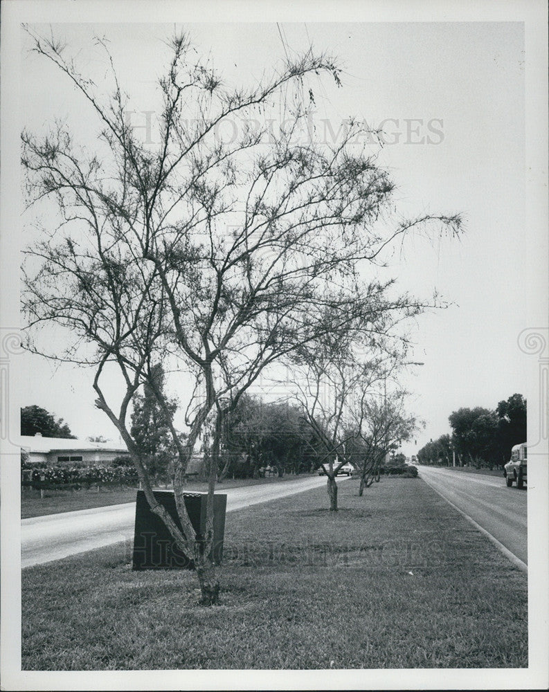 1975 Press Photo Treasure Island Causeway - Historic Images