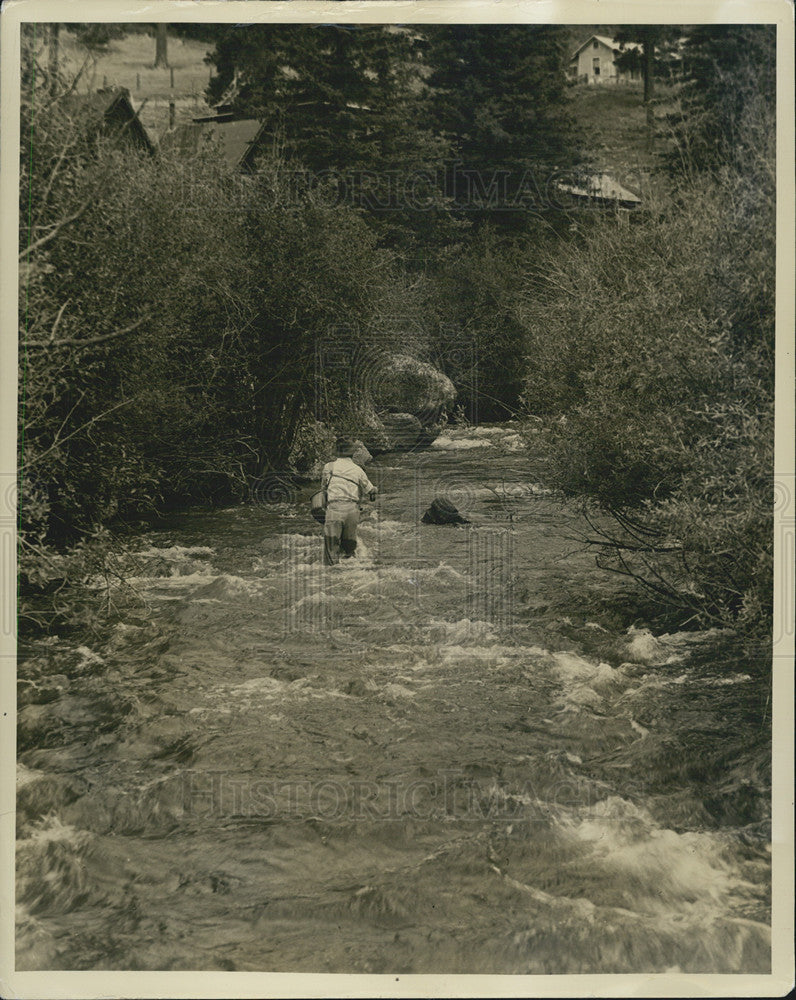 Press Photo Trout Angler Walking Up Mountain Stream New Mexico - Historic Images