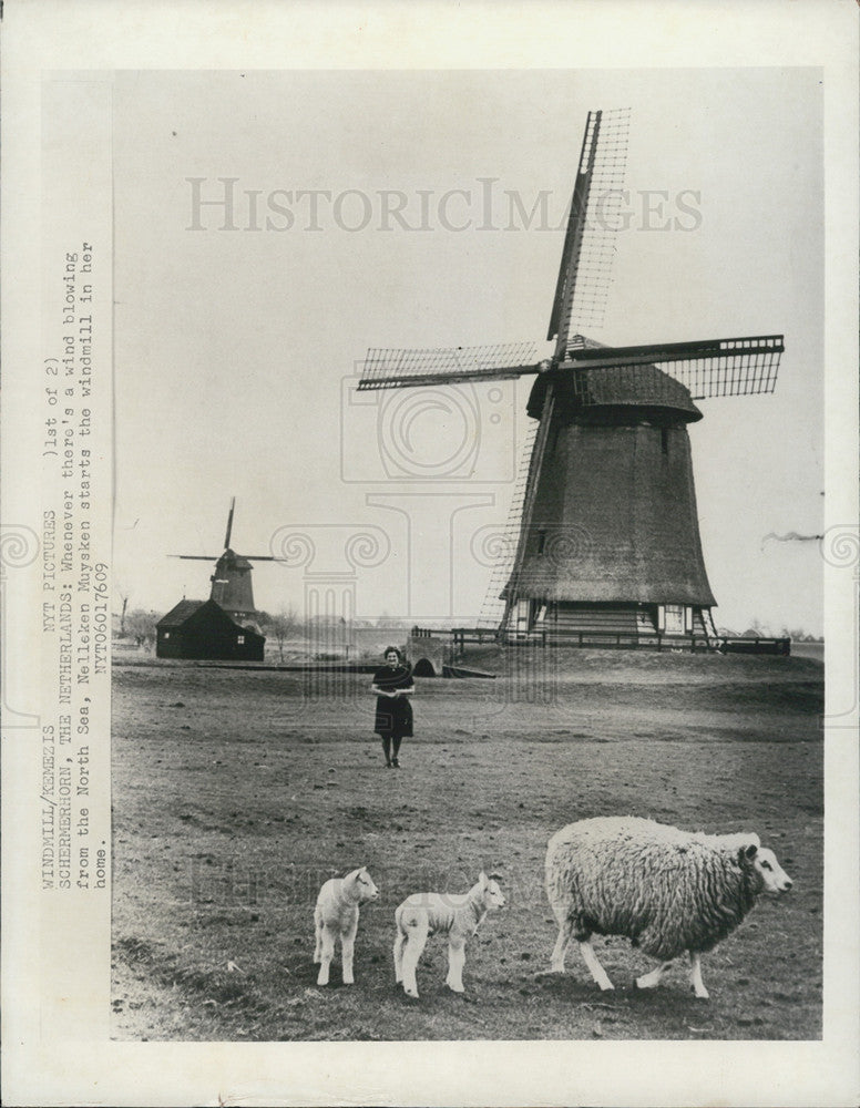 1978 Press Photo Thatch-covered Windmill in Netherlands - Historic Images