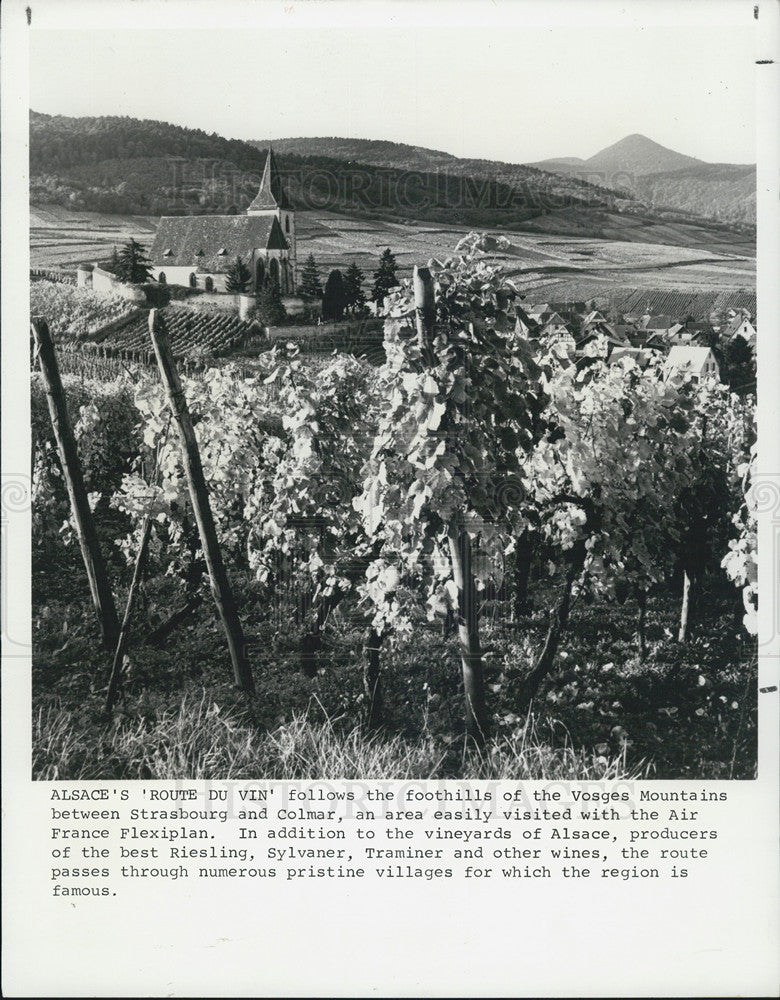 1988 Press Photo Vosges Mountains Foothills Route Du Vin Farmlands - Historic Images