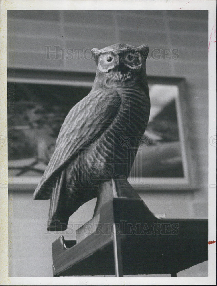 1961 Press Photo Mechanical Owl, Seagull Airport Issue - Historic Images