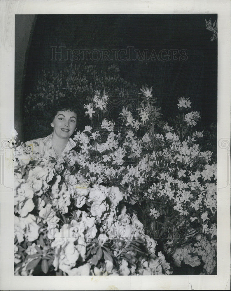 1959 Press Photo Chicago World Flower And Garden Show - Historic Images
