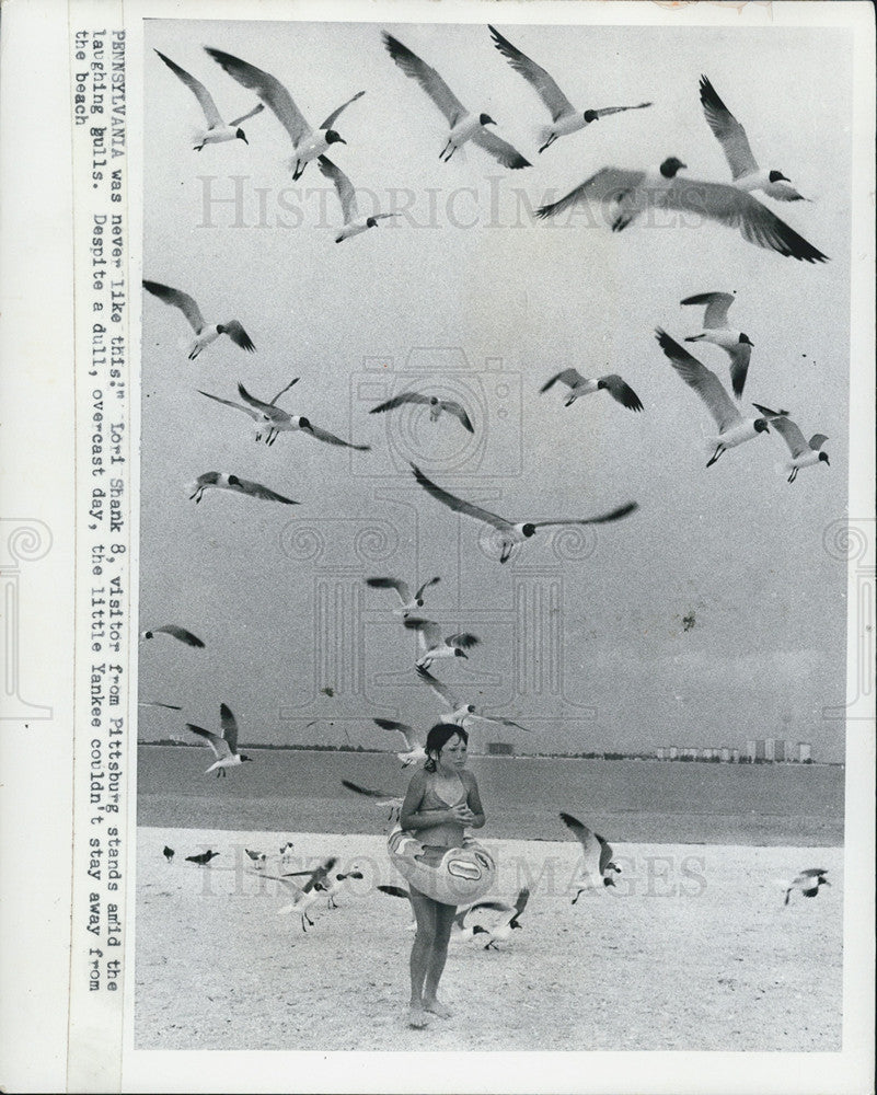 1973 Press Photo Lori Shank, 8 visitor from PA among the Gulls at Gulfport Beach - Historic Images