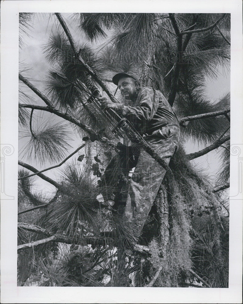 Press Photo Man Hunting Using A Bow And Arrows In Tree - Historic Images