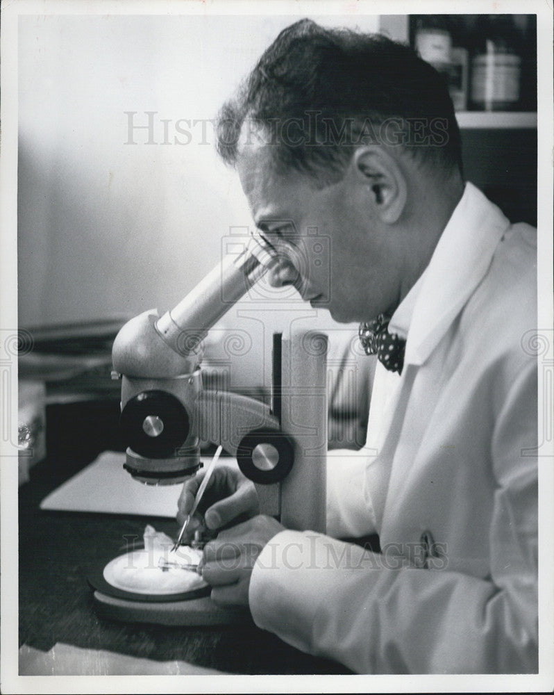 1964 Press Photo Biologist Martin Roeder operates on fish - Historic Images