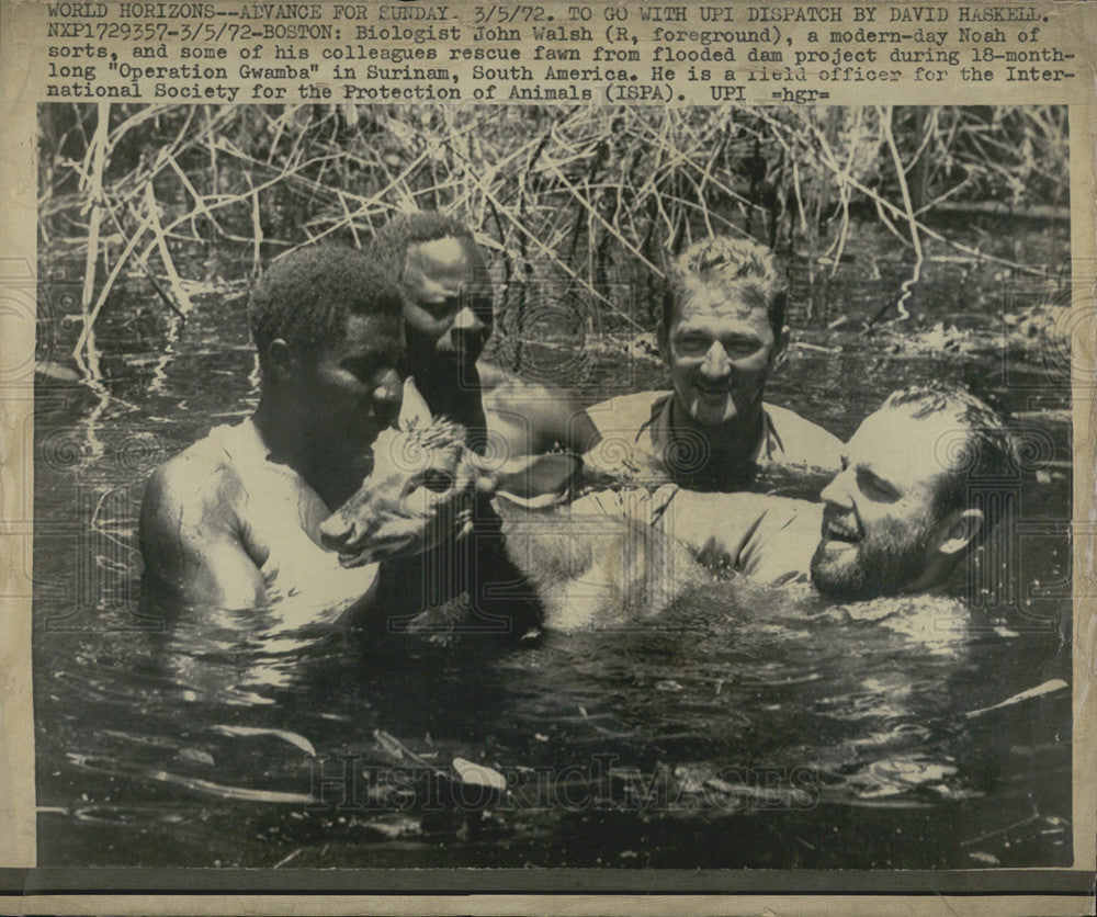 1973 Press Photo Biologist John Walsh, Colleagues Rescue Fawn From Flooded Dam - Historic Images