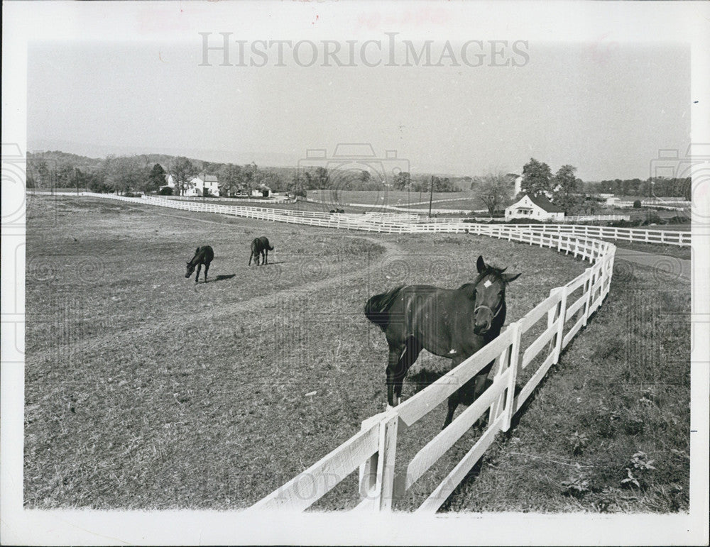 Press Photo Middleburg, Virginia - Historic Images