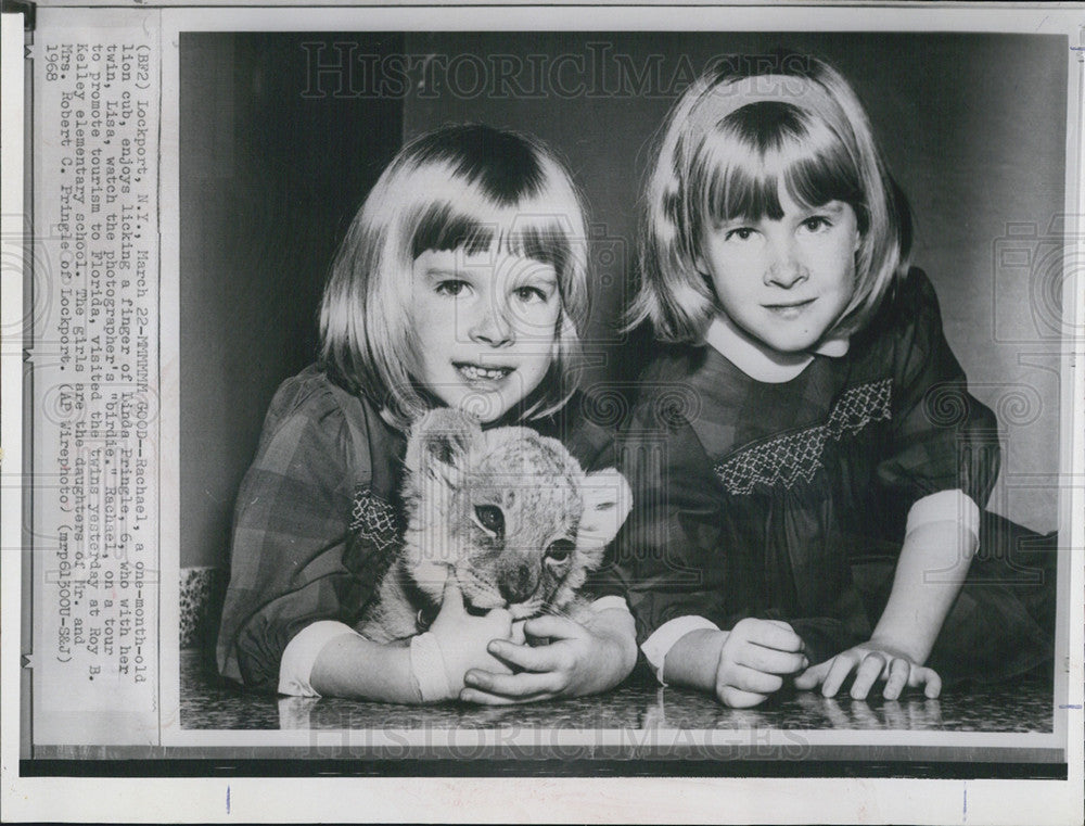 1968 Press Photo Twin Girls Play With lion Cub In Lockport New York - Historic Images