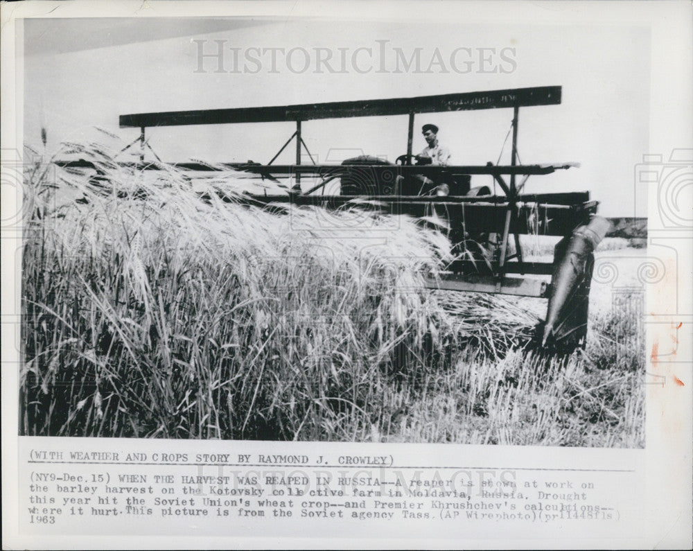 1963 Press Photo Russian Reaper At Work of Barley Harvest - Historic Images