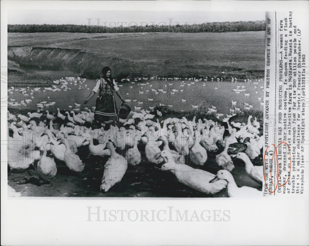 1962 Press Photo Woman Farm Worker Feeding Flock of Geese on Moldavian Farm - Historic Images