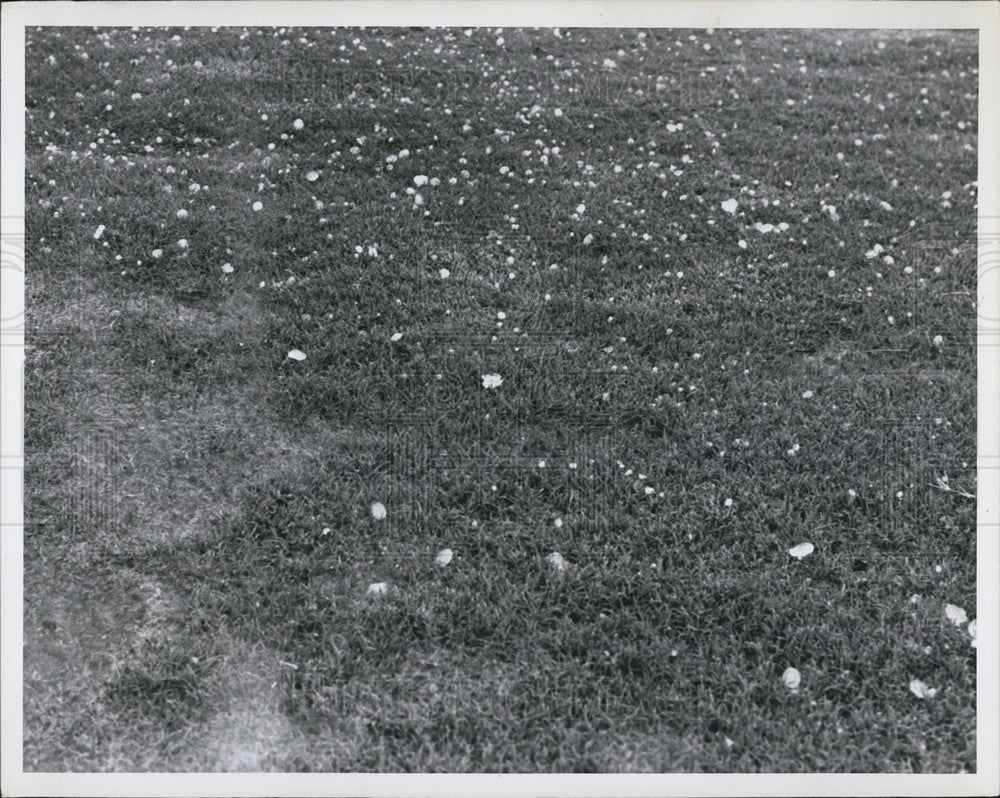 1963 Press Photo Hail on the ground - Historic Images