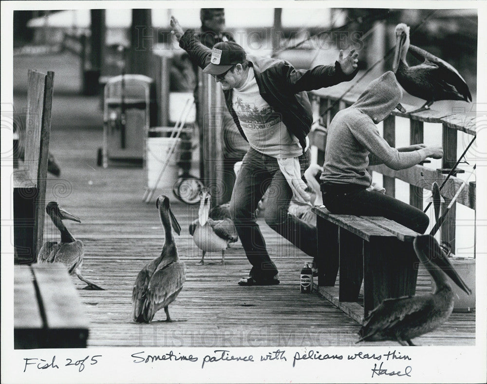 1984 Press Photo Fishing at Big Indian Rocks Pier and pested by pelicans - Historic Images