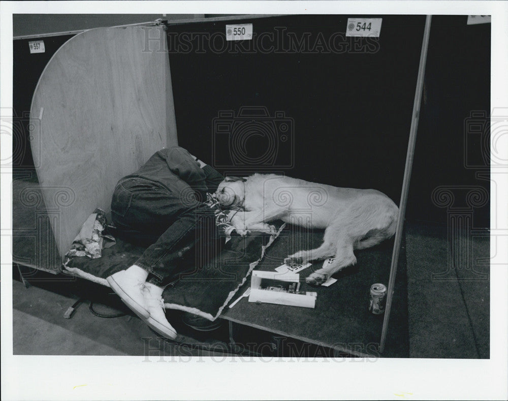 1993 Press Photo 7th Annual International Cluster of Dog Shows - Historic Images