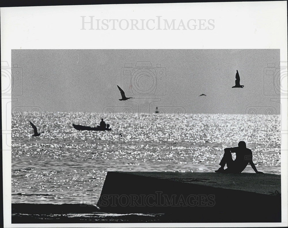 1990 Press Photo Tampa Bay in the Morning, North Shore Park - Historic Images