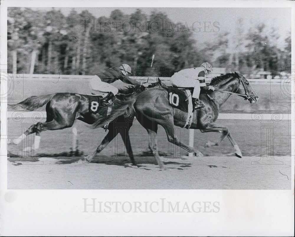 1982 Press Photo Horse Races At Budweiser Derby - Historic Images