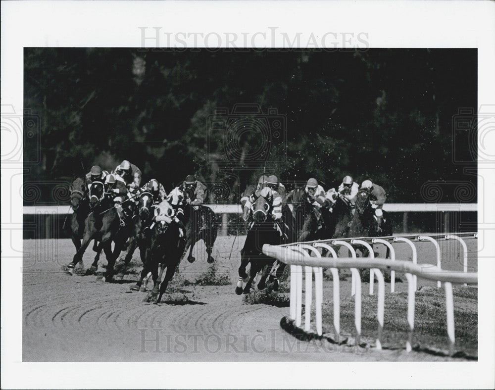 1990 Press Photo Opening Day At Tampa Bay Downs - Historic Images