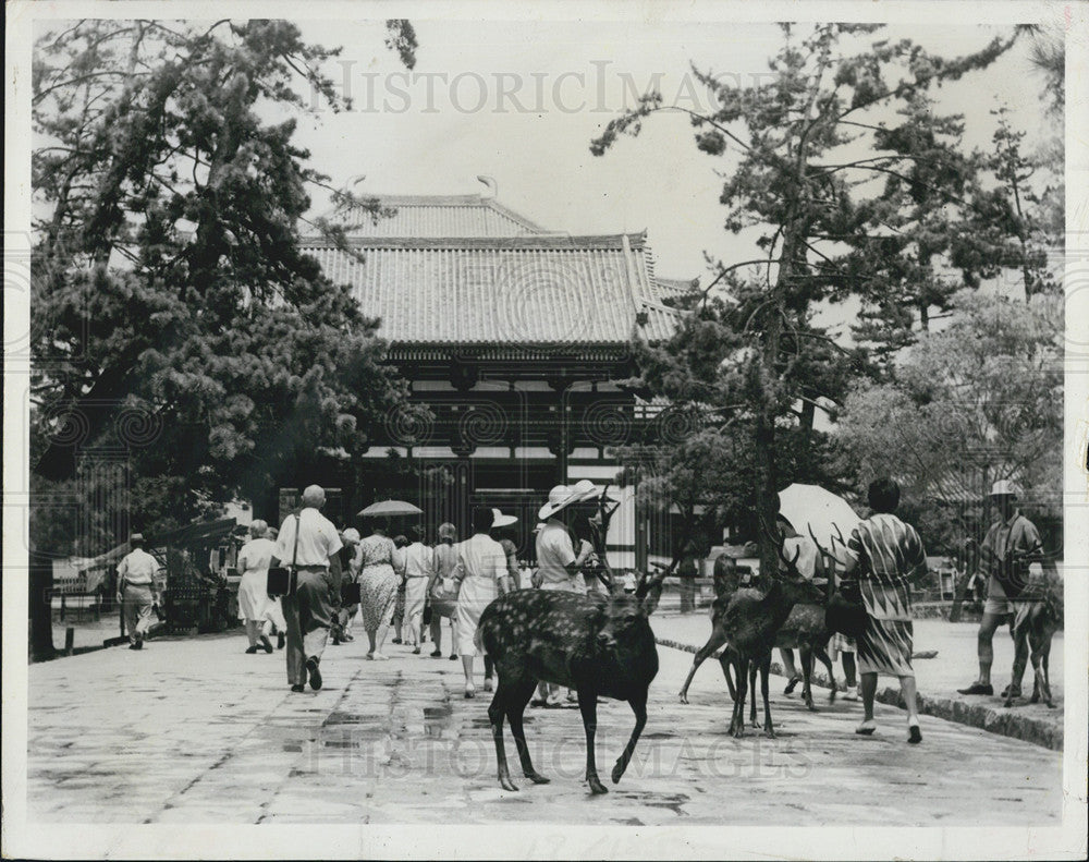 1970 Press Photo Ringling Museum Todaiji Temple Nara - Historic Images