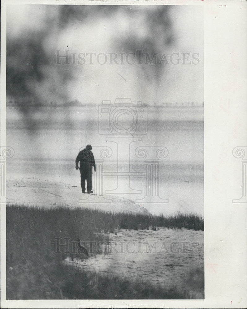 1973 Press Photo Shoreline On Tampa Bay Near Olsmar - Historic Images