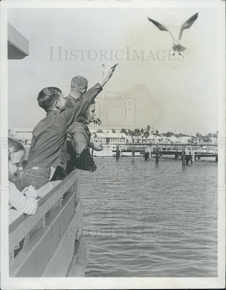 1968 Press Photo Children try to get seagull while aboard boat &quot;Whooping Crane&quot; - Historic Images