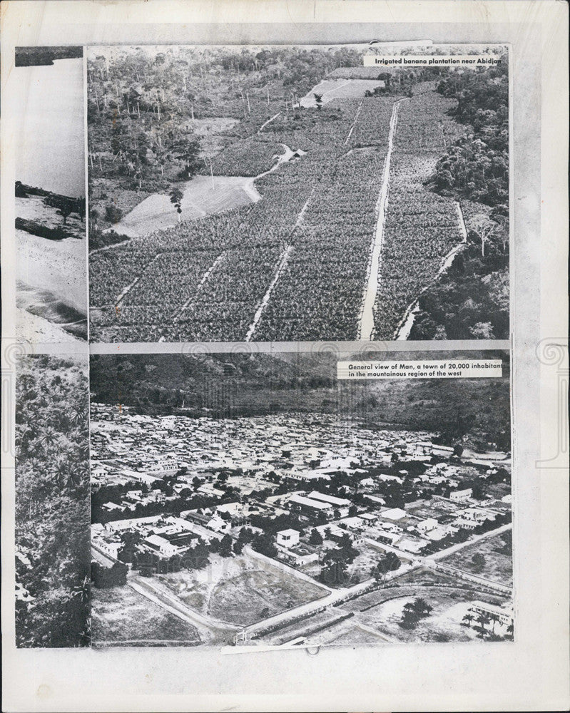 1961 Press Photo Banana plantation in Africa. - Historic Images