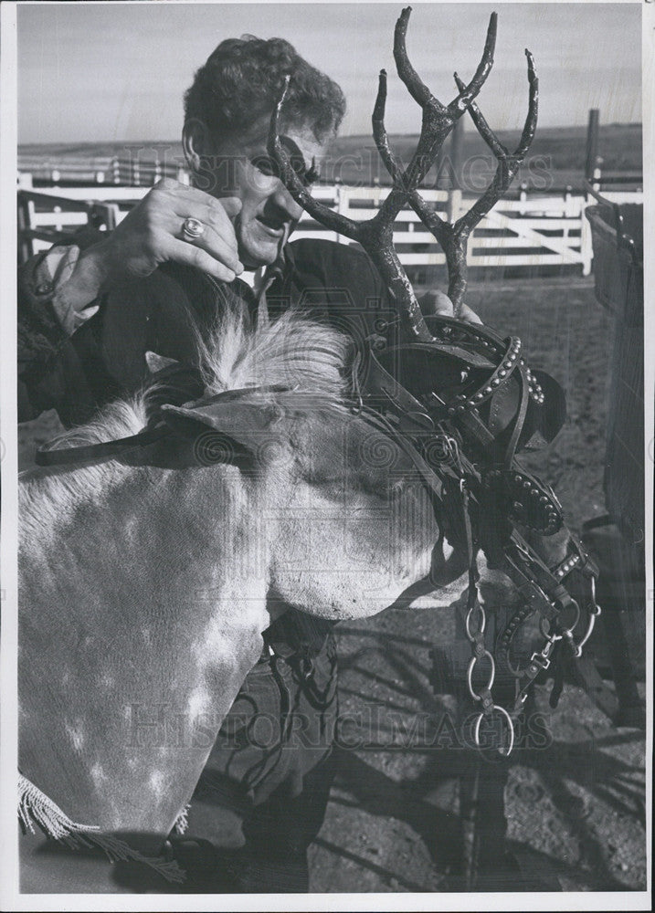 1961 Press Photo John May outfits pony with his special bit, bridle - Historic Images