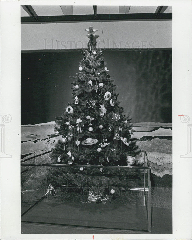 1981 Press Photo Christmas tree at Adler Planetarium - Historic Images