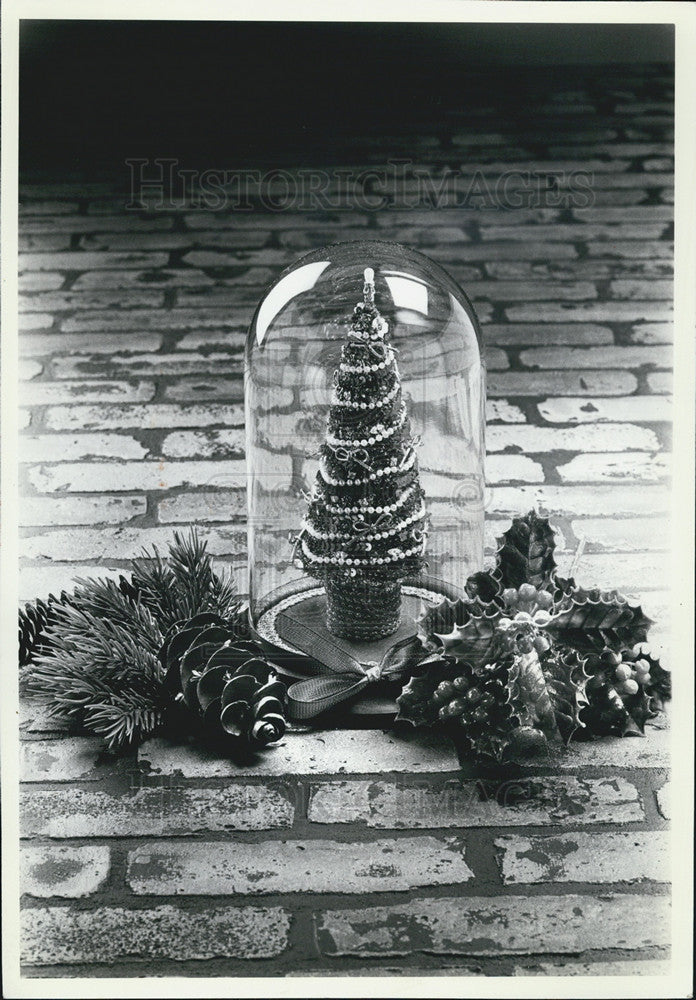 1981 Press Photo Jewel-studded Christmas Tree covered with a glass dome - Historic Images
