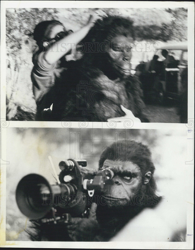 Press Photo Television Animals - Historic Images