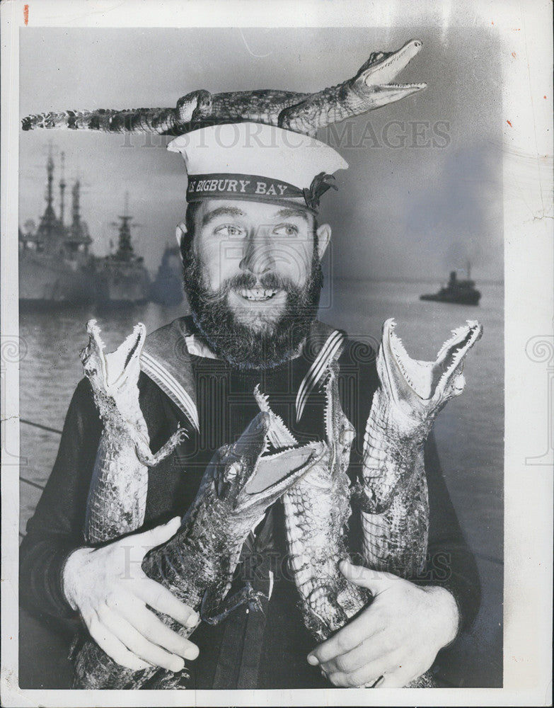 1953 Press Photo Seaman Patrick Spendlove England armfuls of baby alligators - Historic Images