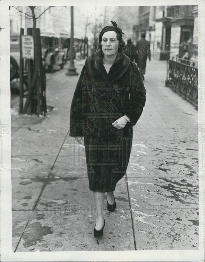 1932 Press Photo Mrs. Ogden Mills wife of Secretary of Treasury, Ogden Mills - Historic Images
