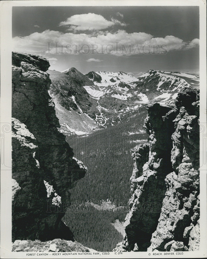 1962 Press Photo Pictured is Forest Canyon at Rocky Mountain National Park, CO. - Historic Images