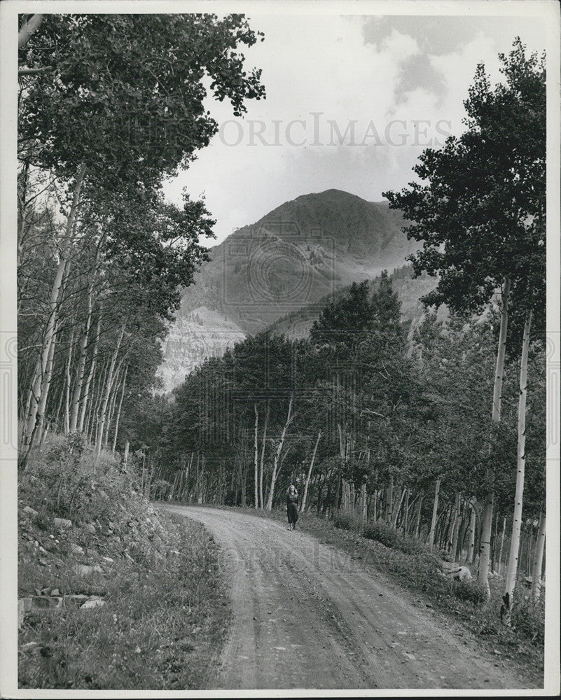 Press Photo Elk Mountain Range Near Aspen - Road to Maroon Lakes - Historic Images