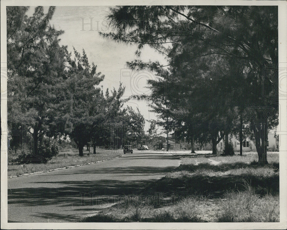 1948 Press Photo View down a wooded street - Historic Images