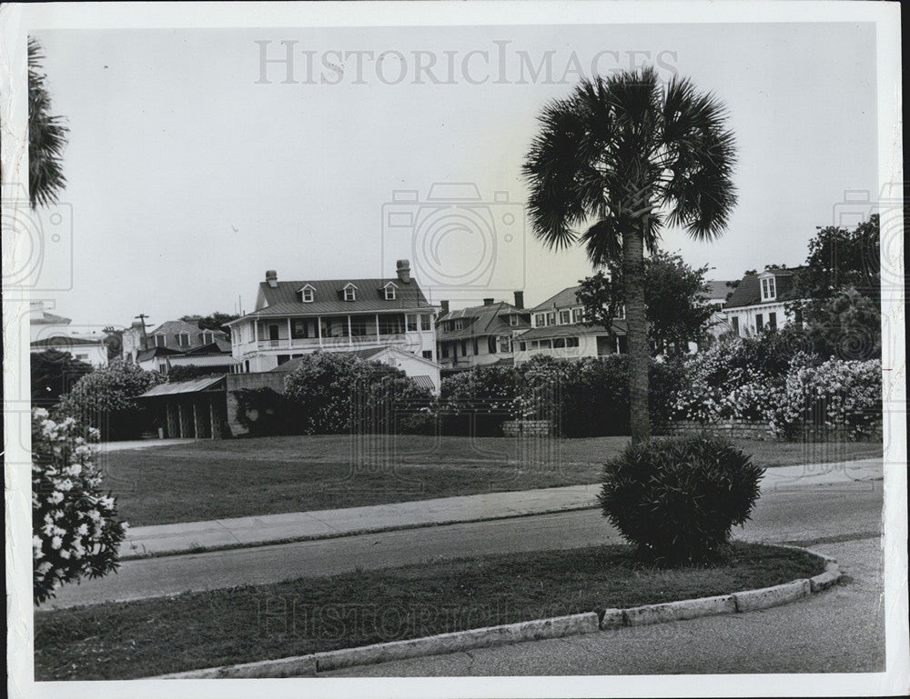 1965 Press Photo The beautiful Oleander flowers lining Charleston, S.C. - Historic Images