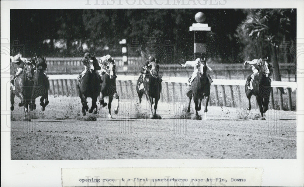 1975 Press Photo Opening Race Florida Downs - Historic Images