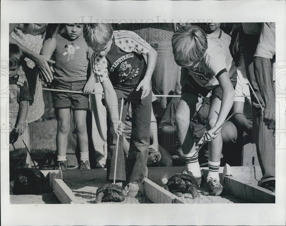 1978 Press Photo racing gophers San Antonio Rattlesnake festival turtle racing - Historic Images