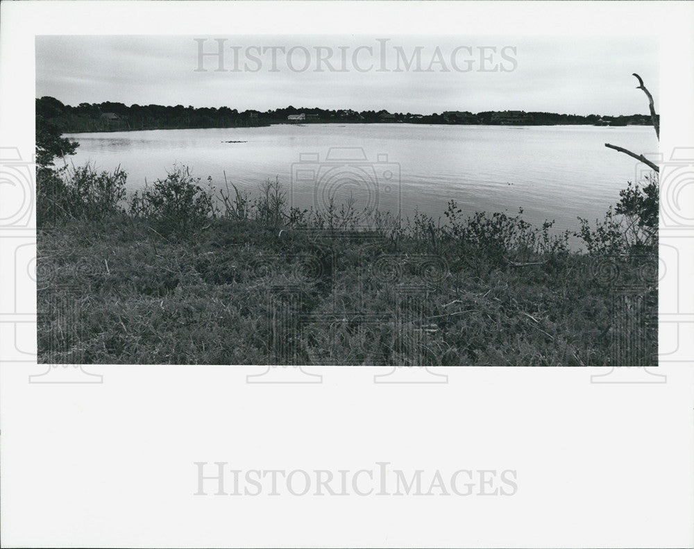 1990 Press Photo Southerland Bayou May Get 33 Slip Dock Off Here By Seaside - Historic Images