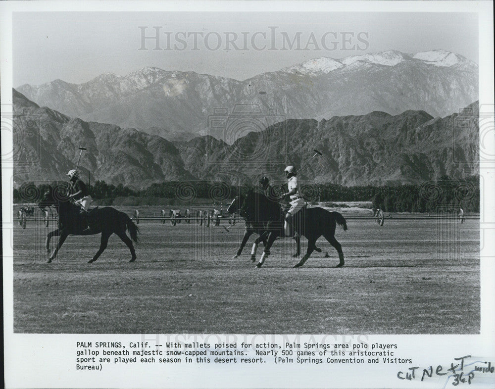 1982 Press Photo Polo Playing on Palm Springs California - Historic Images
