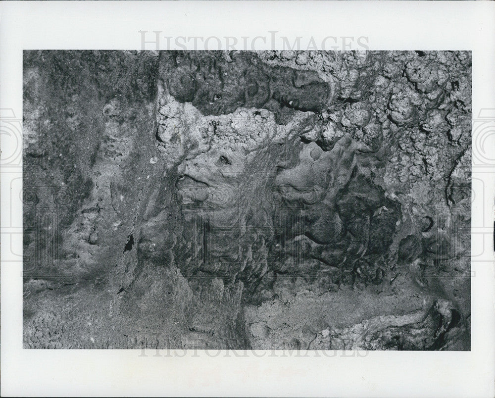 1972 Press Photo Water Drippings In  Cave Forms Sheeps Head In Florida - Historic Images